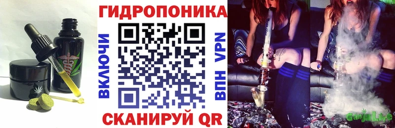 Cannafood конопля  Тосно 
