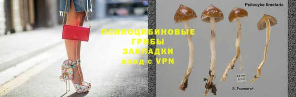 стафф Алзамай