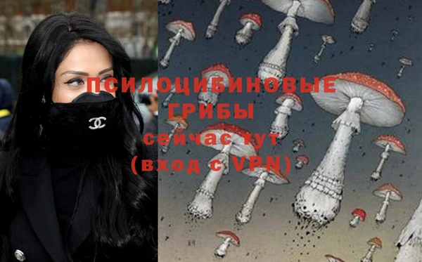 меф Алексин