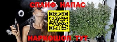 мяу мяу мука Гусев
