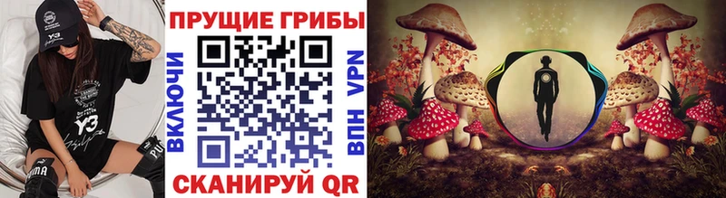 Псилоцибиновые грибы Magic Shrooms  как найти закладки  Тосно 