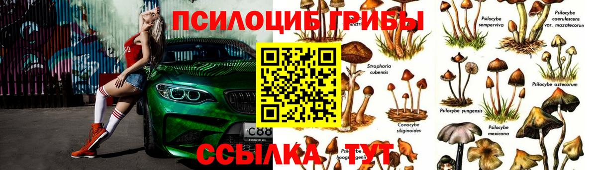 Галлюциногенные грибы ЛСД Тосно